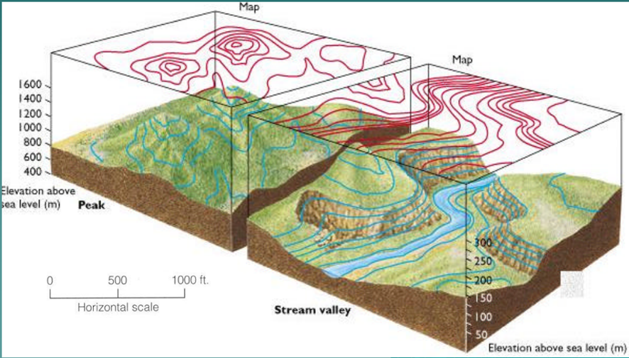 ¿Qué son las curvas de nivel en topografía? curvas de nivel en topografía