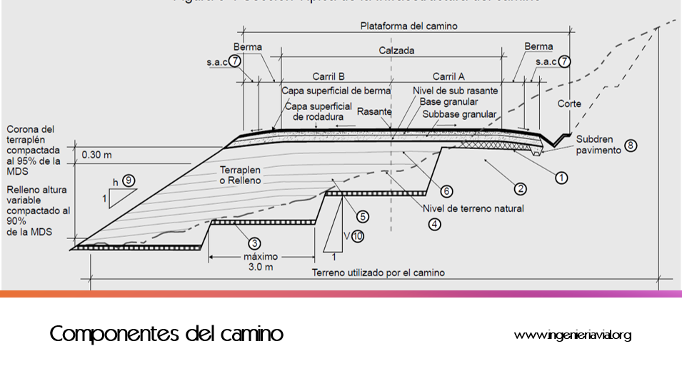 Componentes del Camino